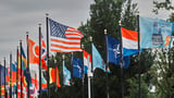 The 2029 warning: NATO's race to rearm ahead of Russia