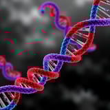 Research Unlocks RNA Splitting Mechanism Essential to the Origin of Type V