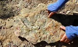 Revolutionary Grand Canyon Rock Analysis Shatters Geology Textbooks and Redefines Earth's History - Faharas News