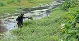 Thiruvanthapuram's waters free of over 1,000-tonne waste in 4.5 years