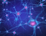 Cell village approach reveals genetic differences in cell fitness