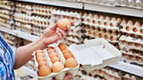 Is salmonella in Philadelphia? Latest on FDA recalls