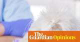 Competition regulator barking up the right tree on vets’ opaque pricing