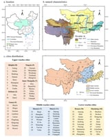 Water–Energy–Food Nexus in the Yellow River Basin of China under the Influence of Multiple Policies