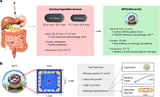 A miniaturized ingestible temperature sensor for continuous internal monitoring