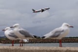 Australia's Jetstar to charge for carry-on bags in overhead lockers
