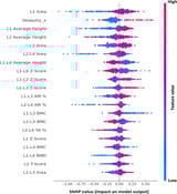 Artificial intelligence–based diabetes risk prediction from longitudinal DXA bone measurements
