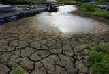 In Photos | Europe Braces for Intense Heatwave as Drought Sends Rivers to Record Lows