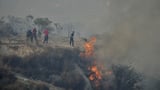 Cyprus will host a regional firefighting hub under an EU proposal | AP News