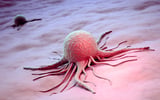 Obesity-Linked Exosomes May Drive Tumor Aggressiveness in Triple-Negative Breast Cancer