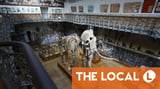 Gold worth €600,000 stolen in Paris museum heist