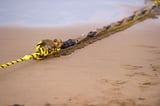 FCC Targets Chinese Tech in Undersea Cables With New Security Rules