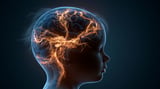 Yale School of Medicine Awarded a Nearly $25 Million Grant to Map the Developing Brain and Advance Autism Rese