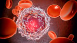 Blood cancer patients first to get ‘Trojan horse’ drug