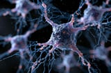 3D Genome Disruption in Alzheimer’s Disease
