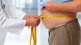 UK Scientists Create Tool to Predict Risk of Obesity-Linked Diseases - The Beaver