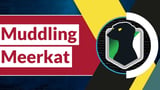 Muddling Meerkat Using DNS As A Powerful Weapon For Sophistication