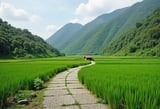 Wildlife Tours Rwanda Introduces New Eco-Conscious Itineraries, Combining its Sustainable Travel, Cultural Immersion, and Wildlife Conservation