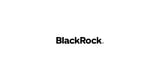 BlackRock Launches Industry’s First S&P 500 ex Top 100 ETF for More Precise U.S. Large-cap Exposure