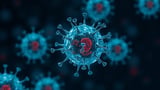 Lipid nanoparticles reprogram natural killer cells inside the body to fight