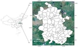 Winter Wheat Yield Prediction Based on the ASTGNN Model Coupled with Multi-Source Data