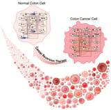 Digital twin research finds colon cancer cells can be reverted to normal cells