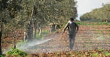 Pesticides poison nearly half of worlds farmers each year study