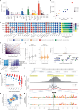 Genetic variants shape single-cell chromatin accessibility and disease risk