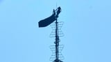 Daredevil Couple Arrested After Climbing the Empire State Building: What We Know