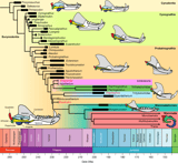 Brazilian fossils reveal homoplasy in the oldest mammalian jaw joint