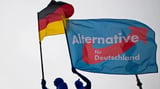 Germany’s far-right party torn over Russia ties