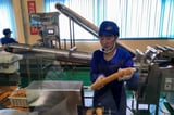 'Can make kimbap': Russian firm's ad for North Korean women workers sparks sanctions concerns - The Herald Business