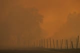See where wildfire smoke is getting worse in the U.S.