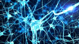 Senolytics May Affect Inflammation-Related Cognitive Decline