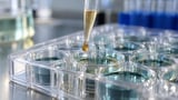 Microsoft Research Debuts Quine, a Multimodal World Model of Biology