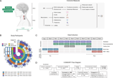 Neural and molecular changes during a mind-body reconceptualization, meditation, and open label placebo healing intervention