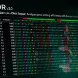 New nonprofit could create gene-editing opportunities