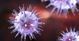First test for early detection of multiple sclerosis | MedUni Vienna