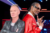 Sting and Snoop Dogg Rework 'Message in a Bottle' on New Single
