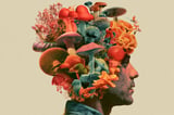 Psilocybin Therapy Drives 75% PTSD Remission