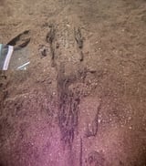 Wisconsin archaeologists identify 16 ancient canoes in a prehistoric lake 'parking lot'