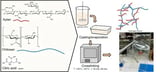 Tuning the Properties of Xylan/Chitosan-Based Films by Temperature and Citric Acid Crosslinking Agent