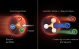Scientists uncover new clue to how protons maintain their identity