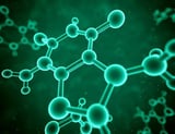 Ancient appetite-control molecule found in starfish and humans