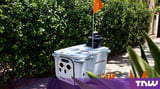 Serve Robotics partners with Grubhub, becoming the shared robot layer for US food delivery