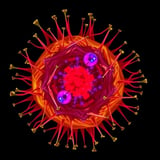 Scientists Enhance Precision in Visualizing Cellular Life