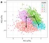 Modeling tool enhances understanding of RNA modifications in individual cells