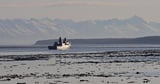 U.S. military searching for Marine missing off San Diego coast - Los Angeles Times