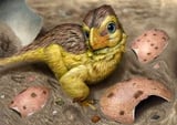 Dinosaur eggshells unlock a new way to tell time in the fossil record