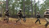 U.S. military forms first bilateral AI task force with United Arab Emirates
